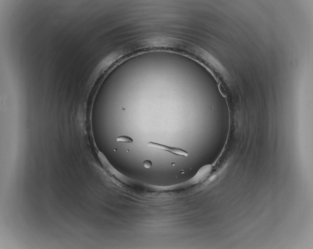 X0000111390930200907101143