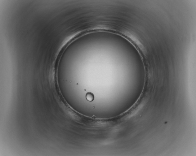 X0000111390933200907101143