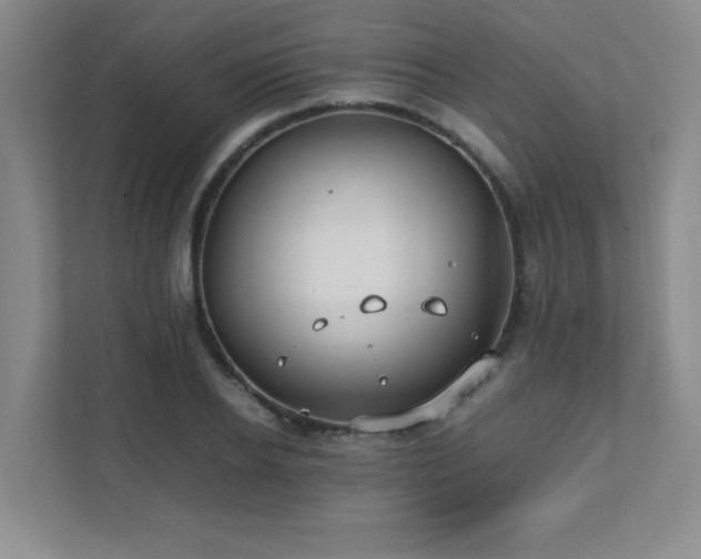 X0000111390934200907101143