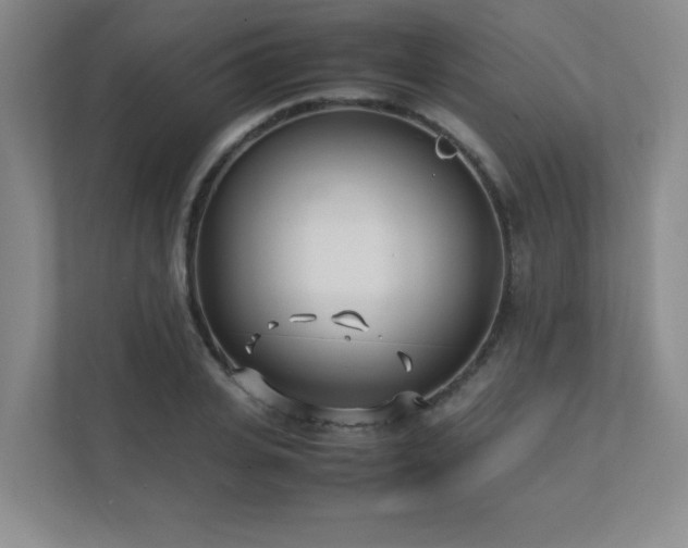 X0000111390935200907101143