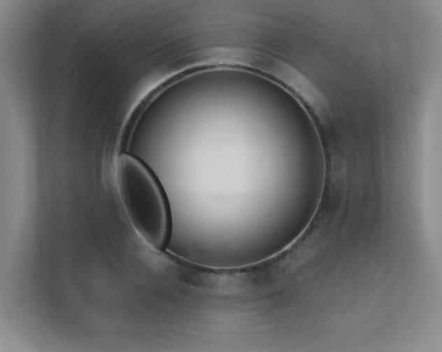 X0000111390936200907101143