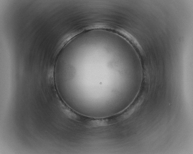 X0000111390937200907101143