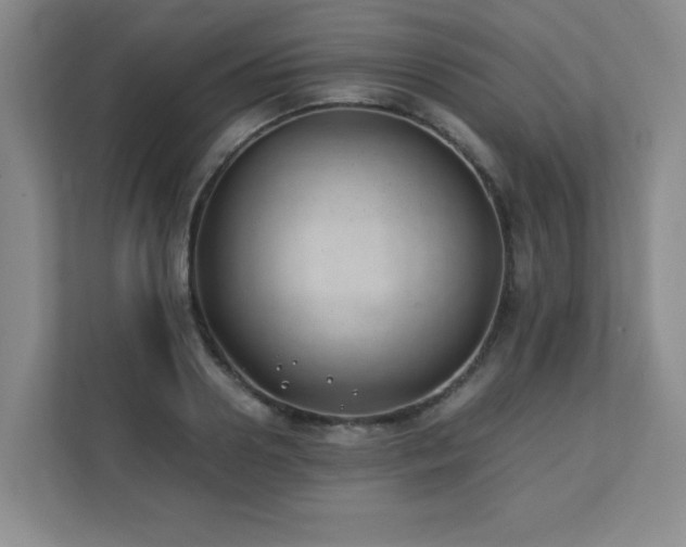 X0000111390938200907101143