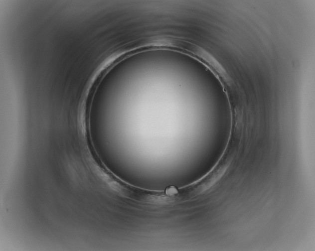 X0000111390939200907101143