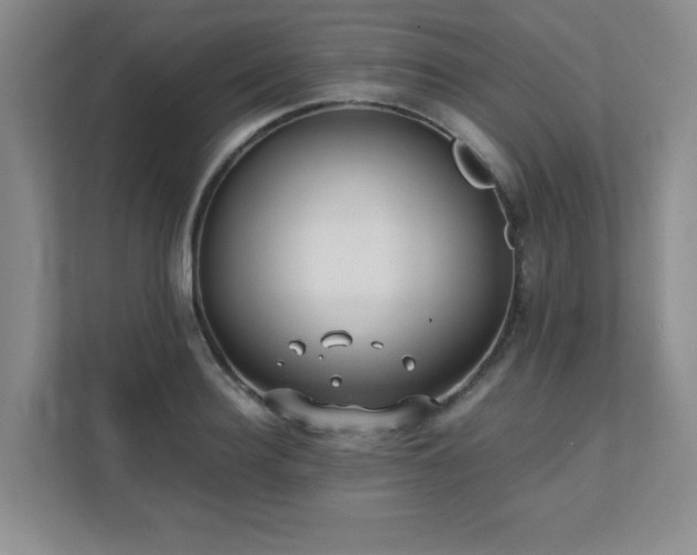 X0000111390940200907101144