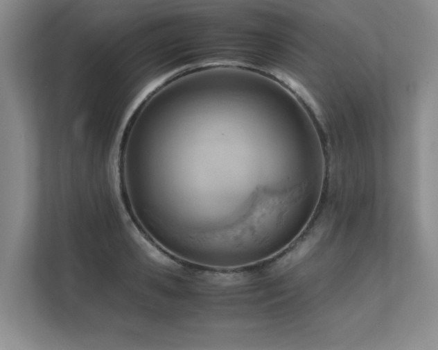 X0000111390941200907101144