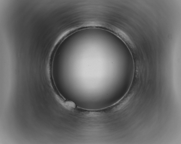 X0000111390942200907101144