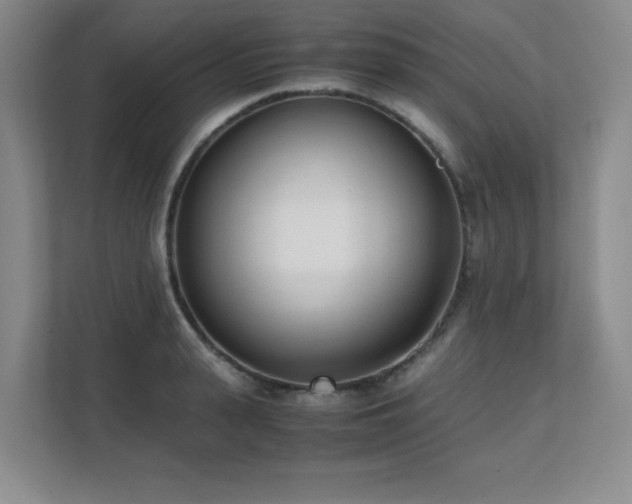 X0000111390943200907101144