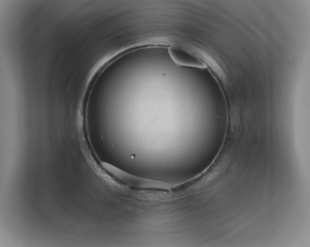 X0000111390944200907101144