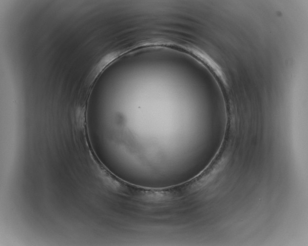 X0000111390945200907101144