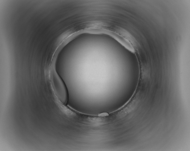 X0000111390946200907101144