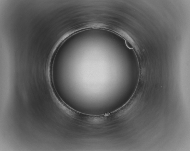 X0000111390947200907101144