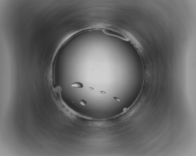 X0000111390948200907101144