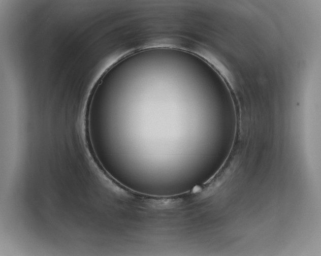 X0000111390949200907101144