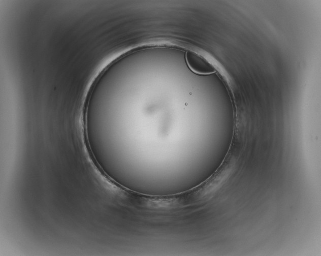 X0000111390951200907101144