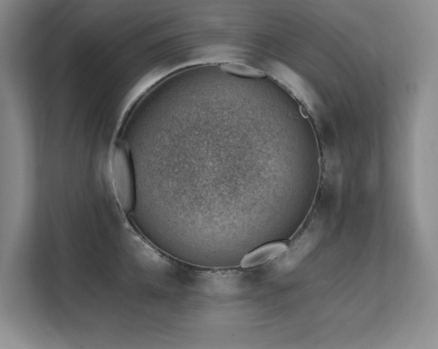 X0000111390952200907101144