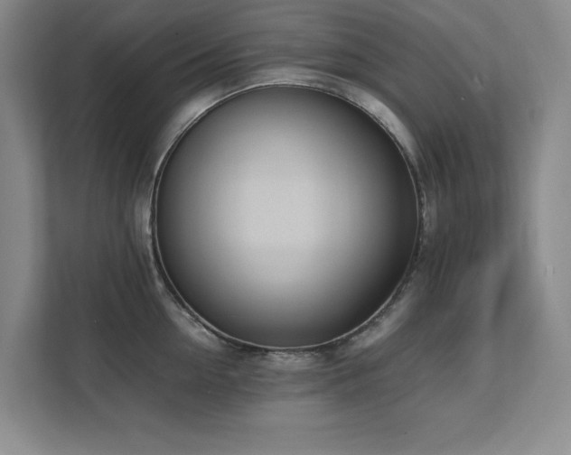 X0000111390954200907101144