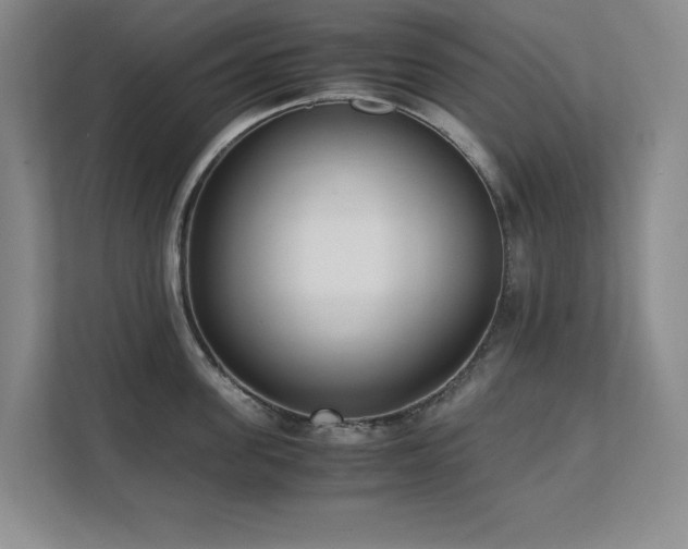 X0000111390955200907101144