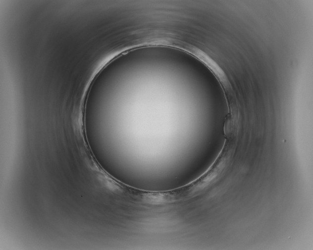 X0000111390956200907101144