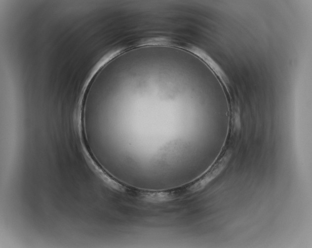 X0000111390957200907101144