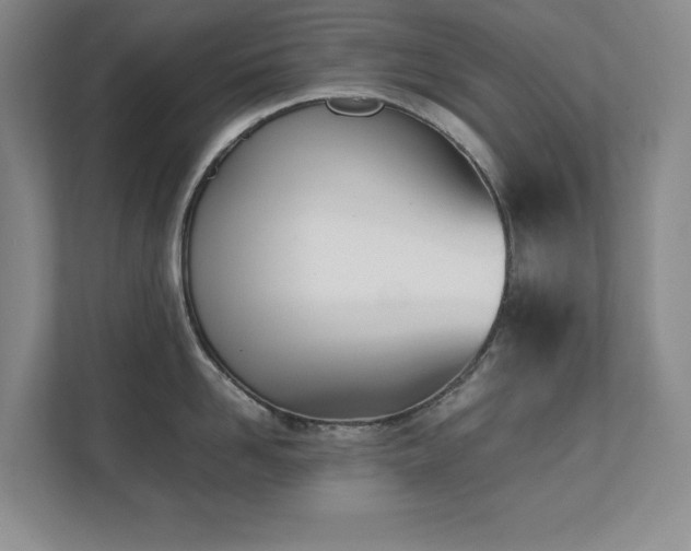 X0000111390958200907101144