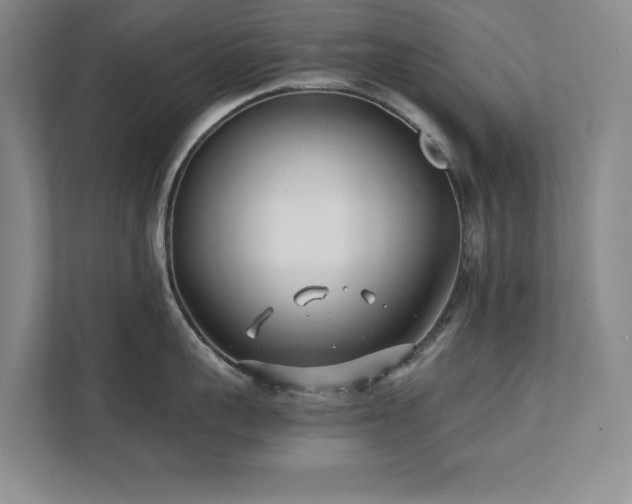 X0000111390959200907101144