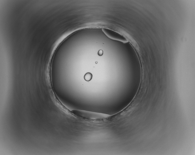 X0000111390960200907101144