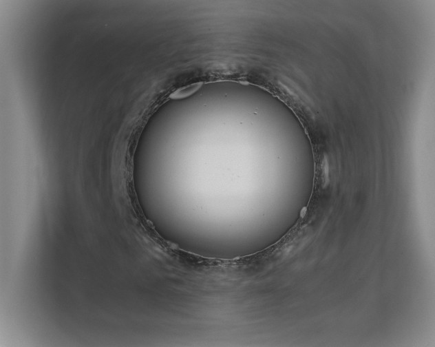 X0000111390961200907101143