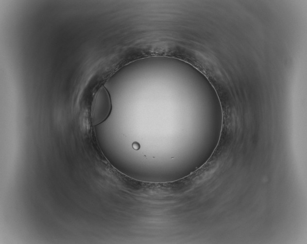 X0000111390962200907101143