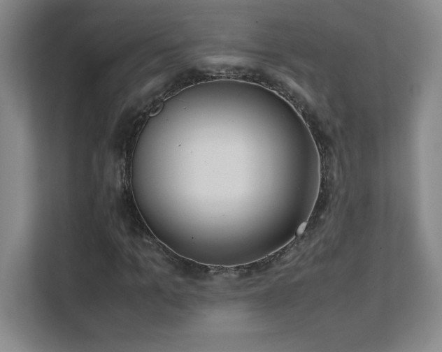 X0000111390965200907101143