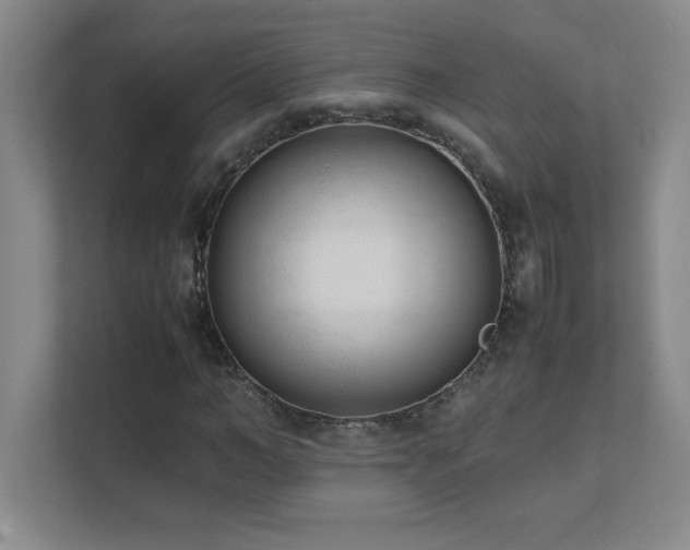 X0000111390966200907101143