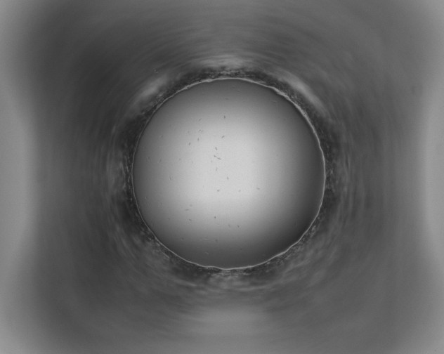 X0000111390967200907101143