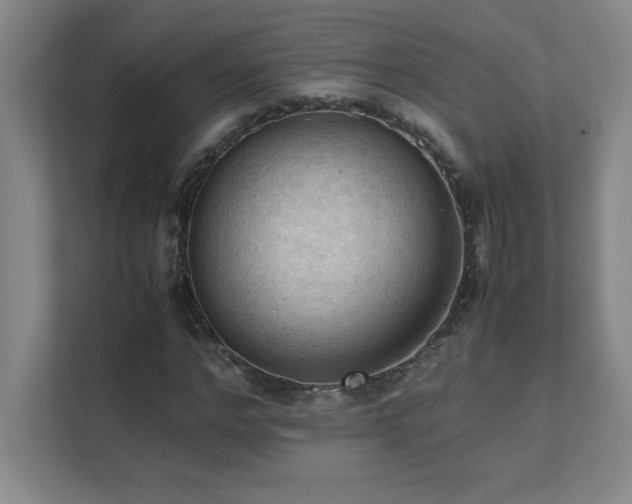 X0000111390968200907101143