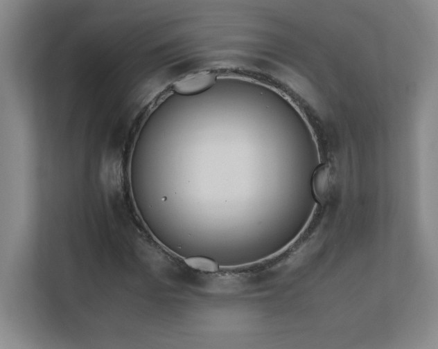 X0000111390969200907101143