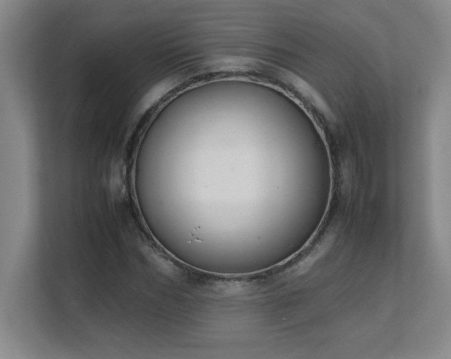 X0000111390970200907101143