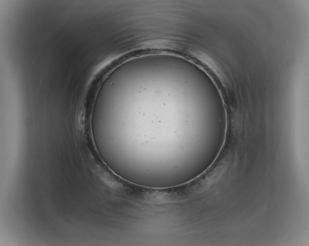 X0000111390971200907101143