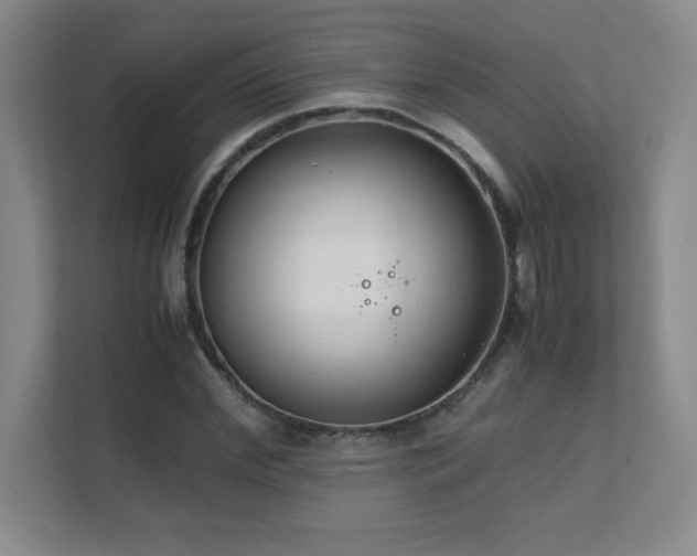 X0000111390972200907101143