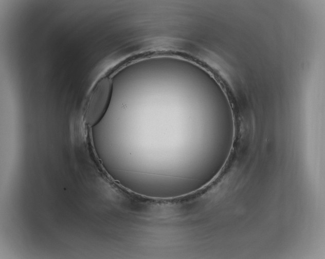 X0000111390973200907101143