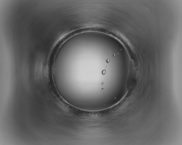 X0000111390975200907101143