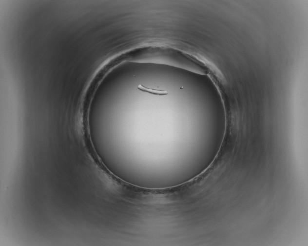 X0000111390976200907101143