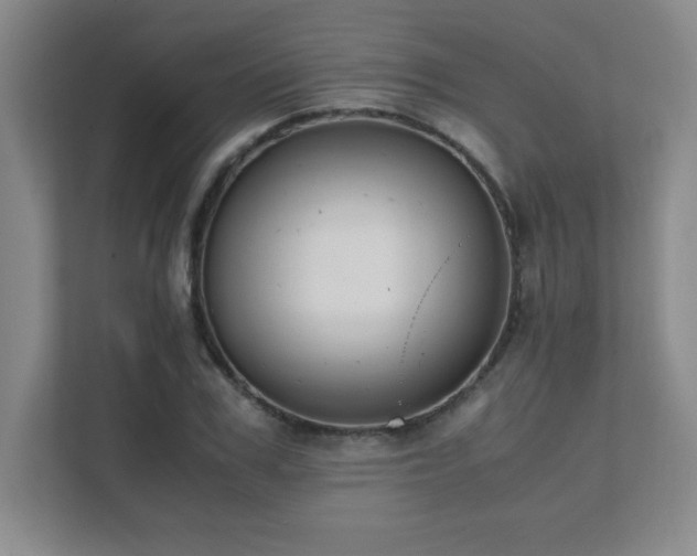 X0000111390979200907101143