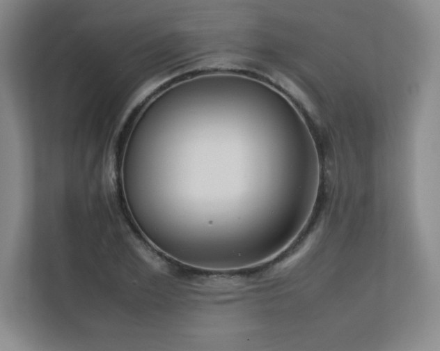 X0000111390981200907101143