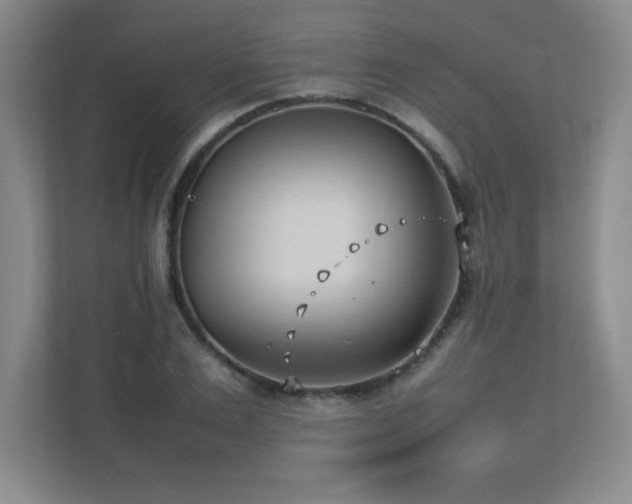 X0000111390983200907101143