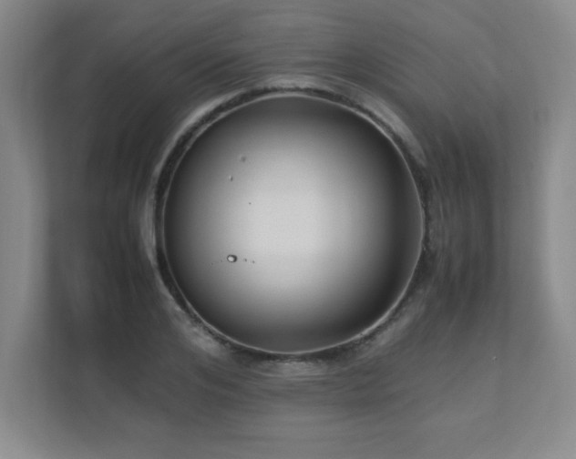 X0000111390984200907101143