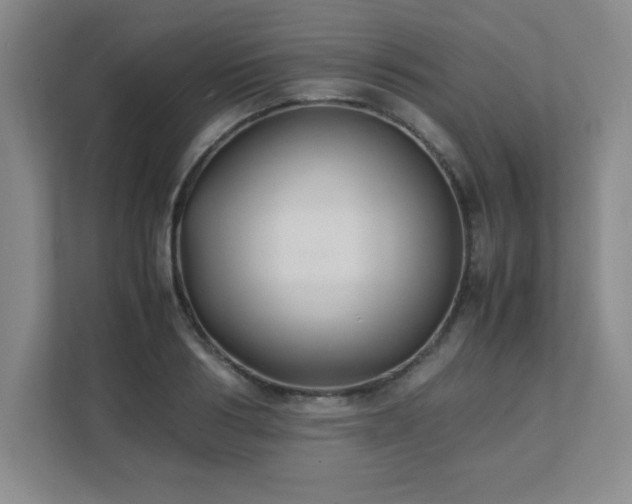 X0000111390986200907101143