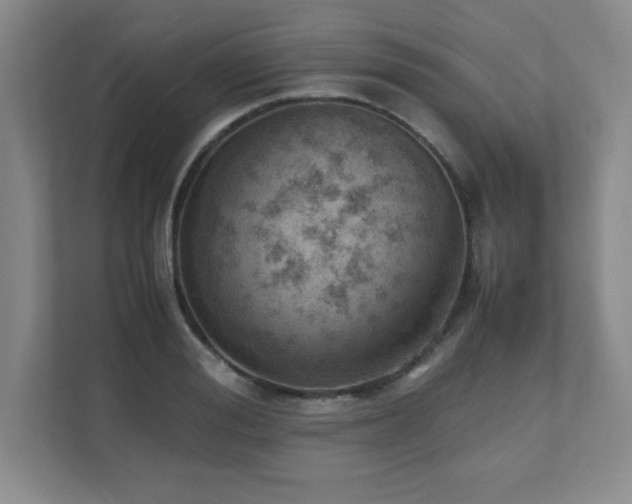 X0000111390988200907101143