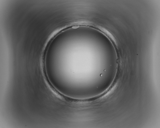 X0000111390989200907101143
