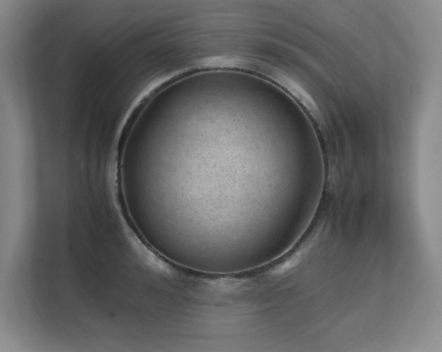 X0000111390992200907101143