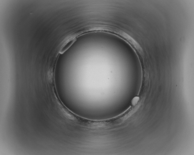 X0000111390993200907101143