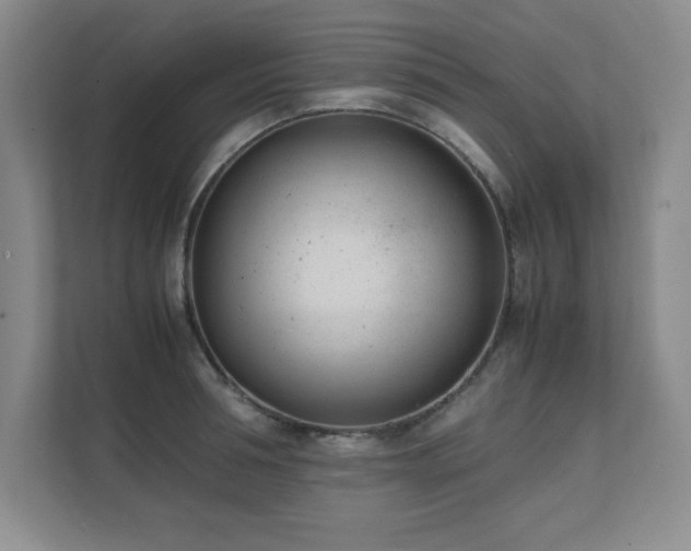 X0000111390994200907101143